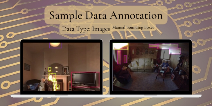 Data Annotation For Object Detection through Images