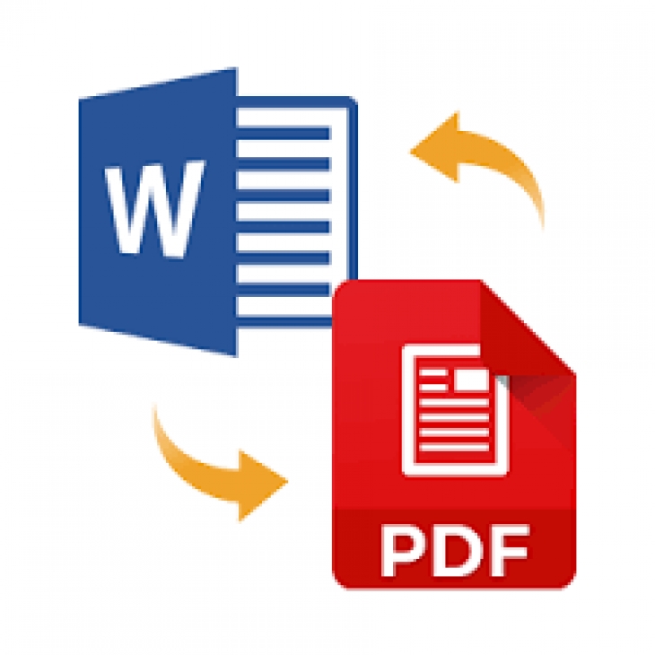 pdf to ms word conversion